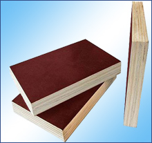 ����ľģ��